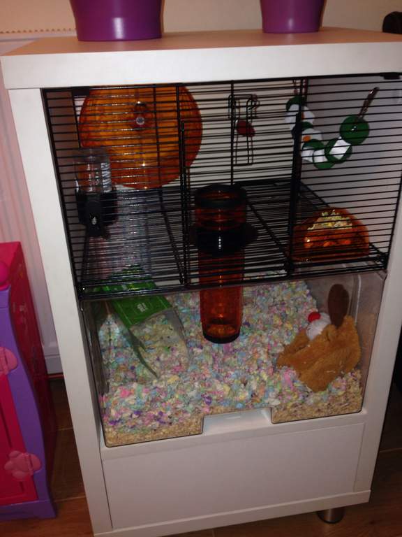 Carefresh Animal Bedding 10L Confetti Hamster & Gerbil Bedding