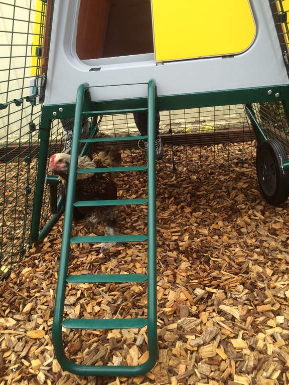 Eglu Go UP Chicken Coop Frame and Ladder Eglu Spares & Accessories