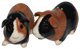 Guinea Pig Sale And Pepper Shaker