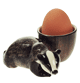Badger Egg Cup