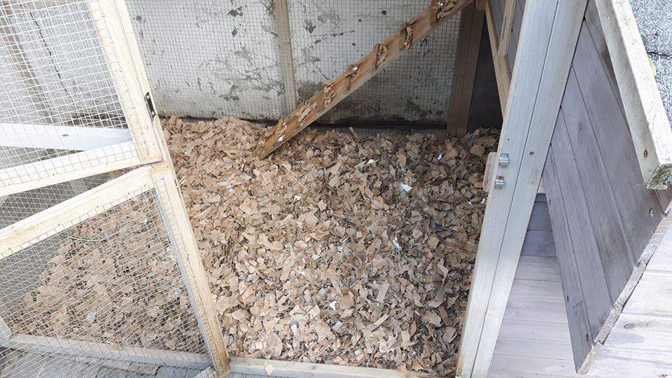 EcoBed Cardboard Bedding 20kg Poultry Bedding Chicken Keeping