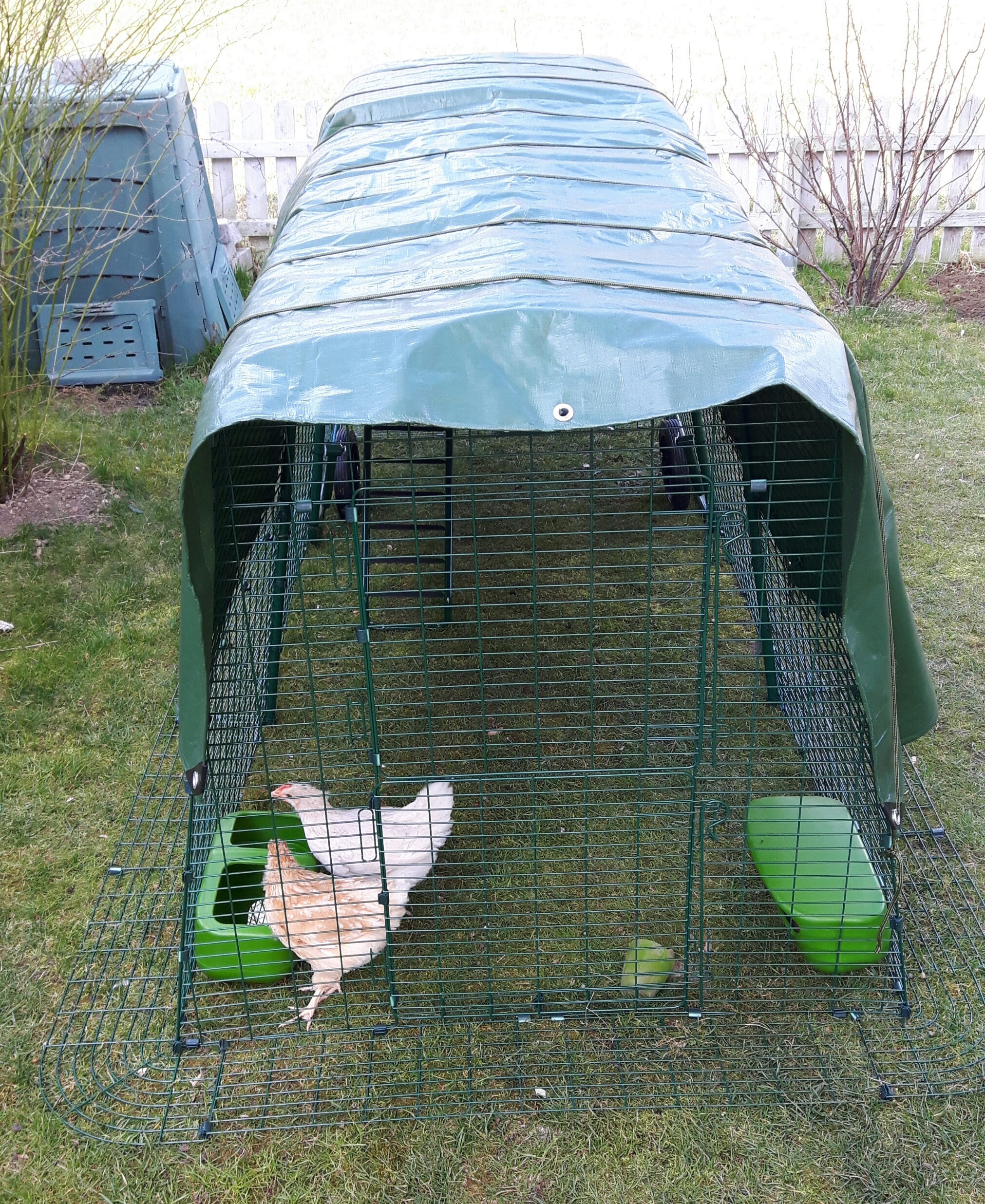 New Eglu Cube Chicken Coop Chicken Keeping Equipment Omlet