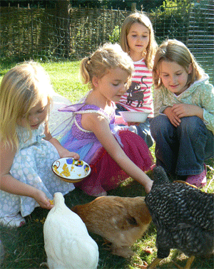 Just one of the perks of keeping poultry!