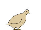 Omlet Cartoon