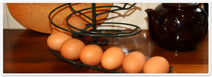Chickens