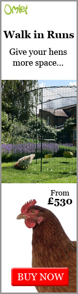 Give your hens more space...