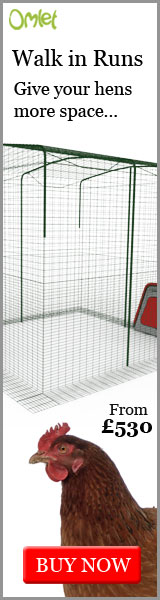Give your chickens more space...