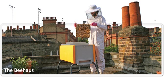 Beekeeping Equipment and Beehives