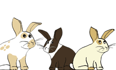 Omlet Cartoon
