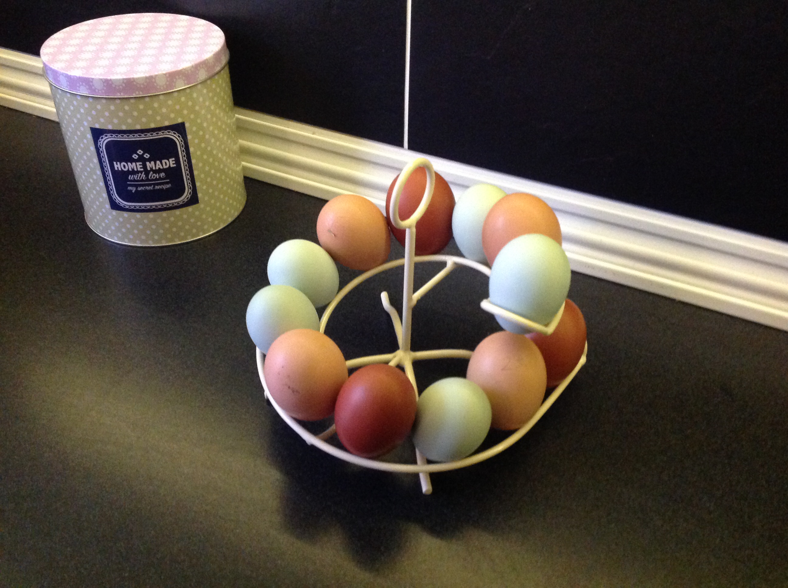Egg Skelter Spiral Egg Holder for Storing up to 24 Eggs