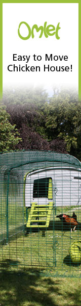 Easy to Move Chicken House!