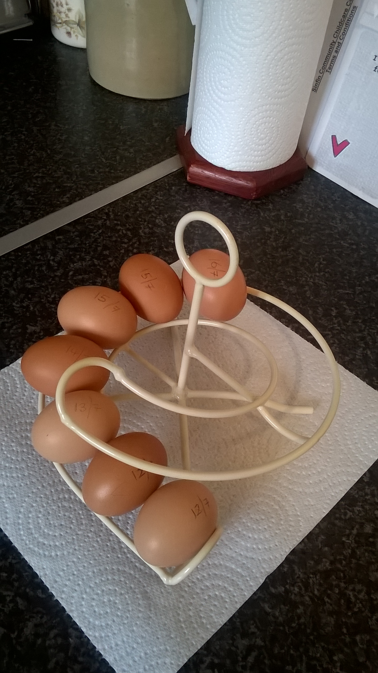 Egg Skelter Spiral Egg Holder for Storing up to 24 Eggs