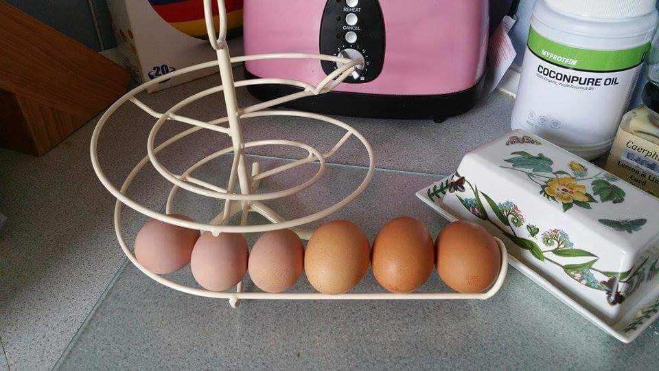 Egg Skelter Spiral Egg Holder for Storing up to 24 Eggs