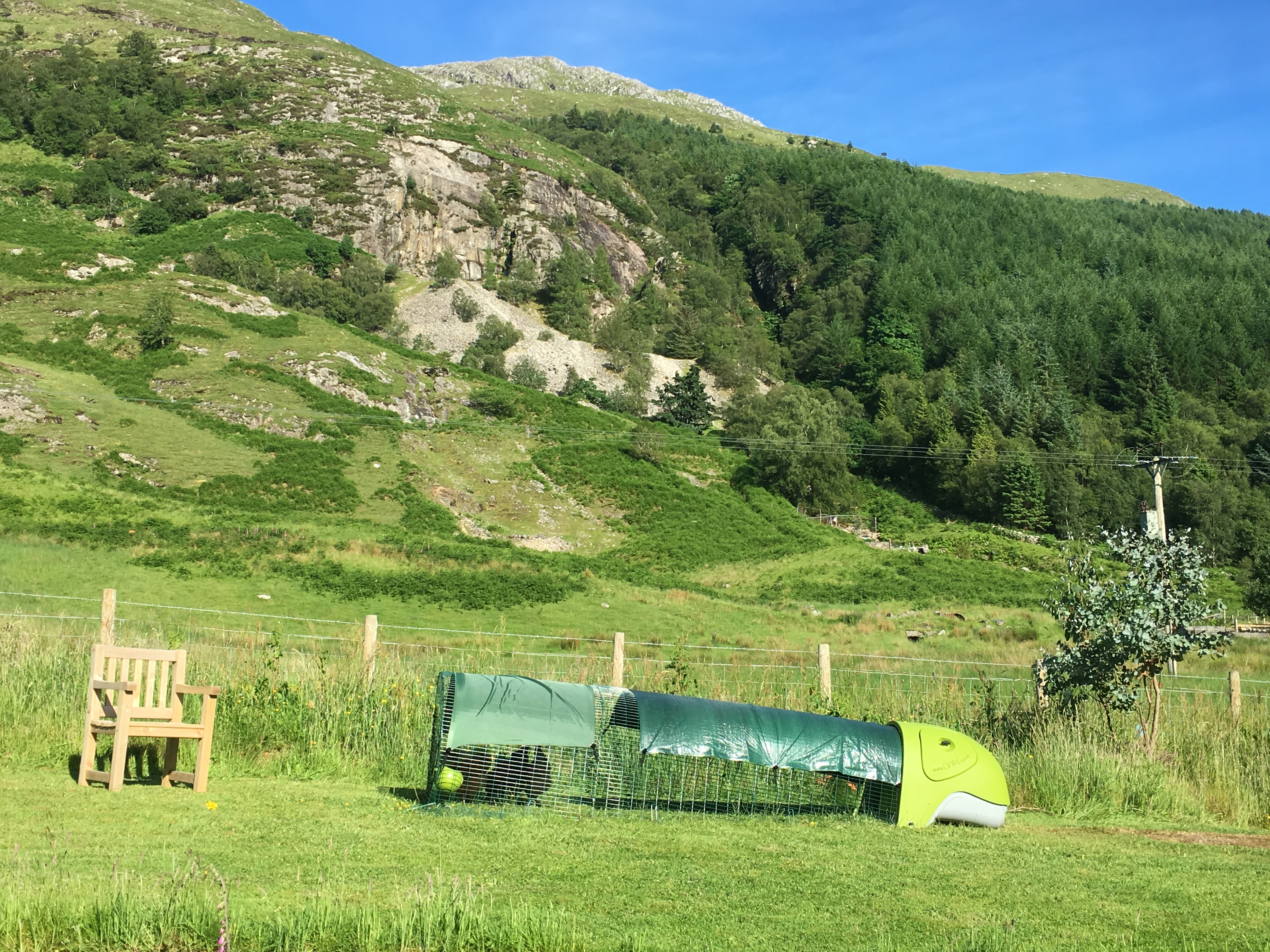 Eglu Classic Chicken Coop Chicken House for 24 Birds