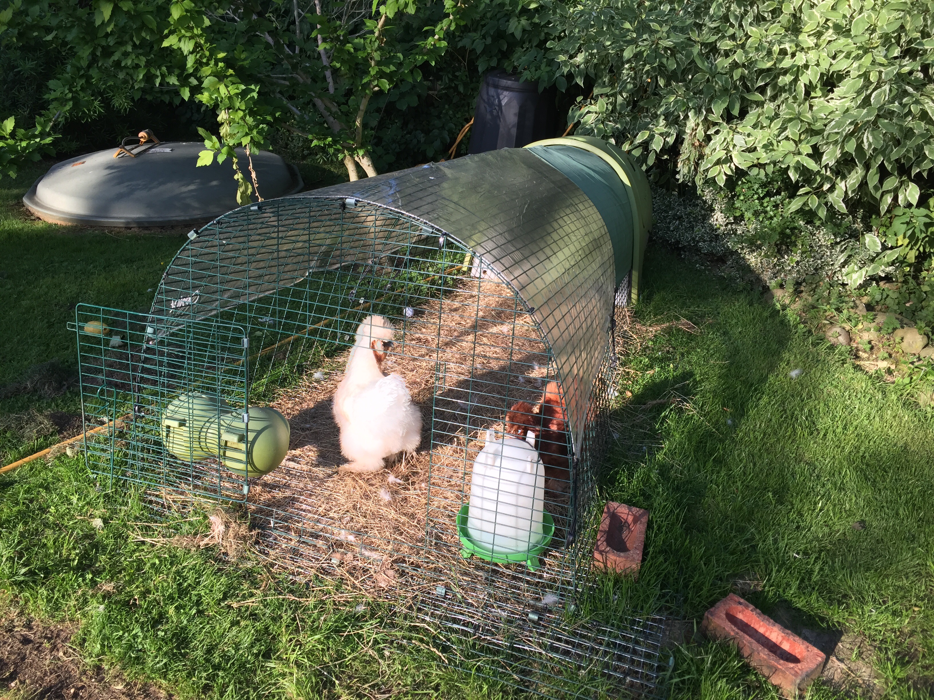 Eglu Classic Chicken Coop Chicken House for 24 Birds