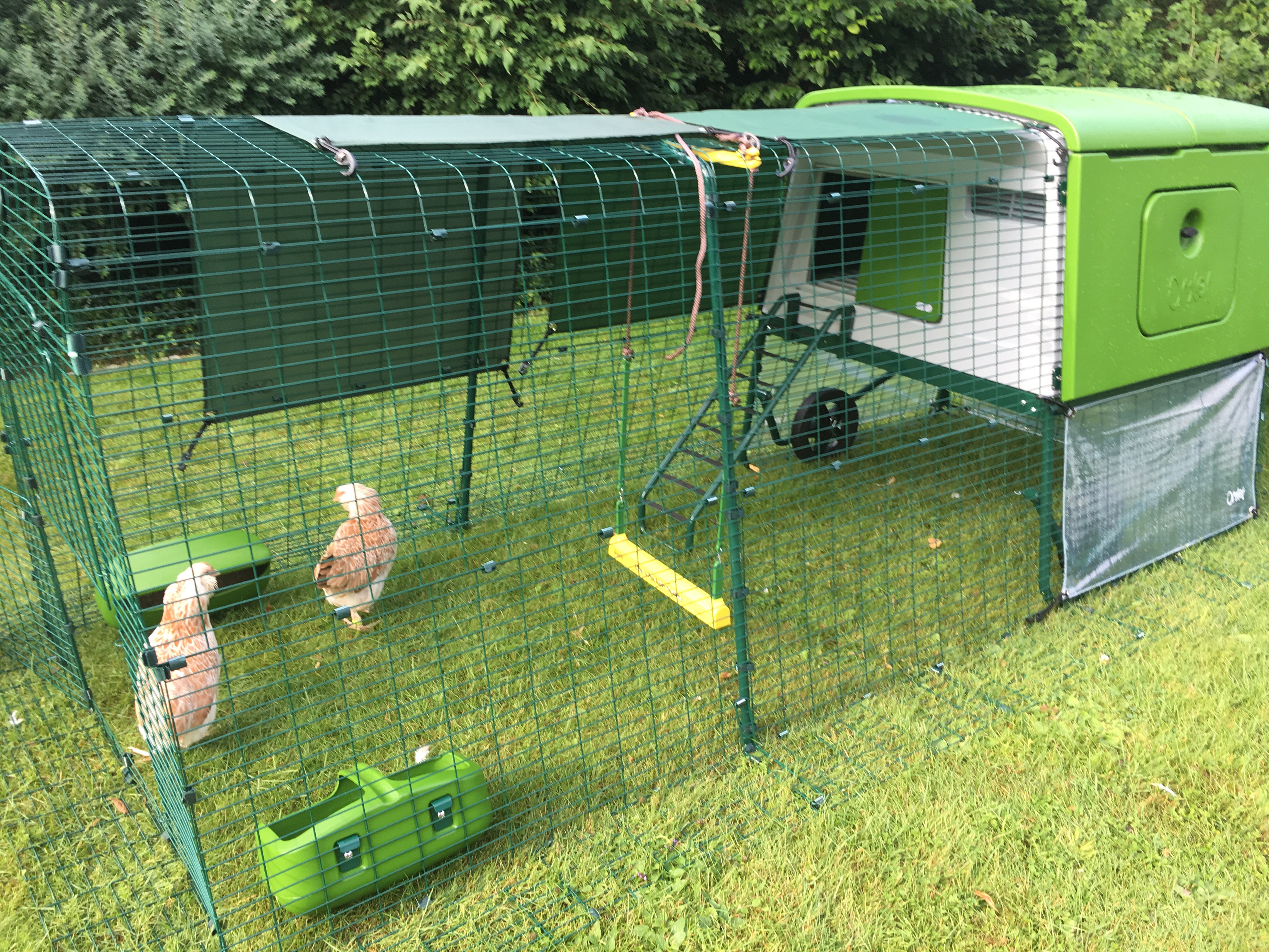 New Eglu Cube Chicken Coop Chicken Keeping Equipment Omlet