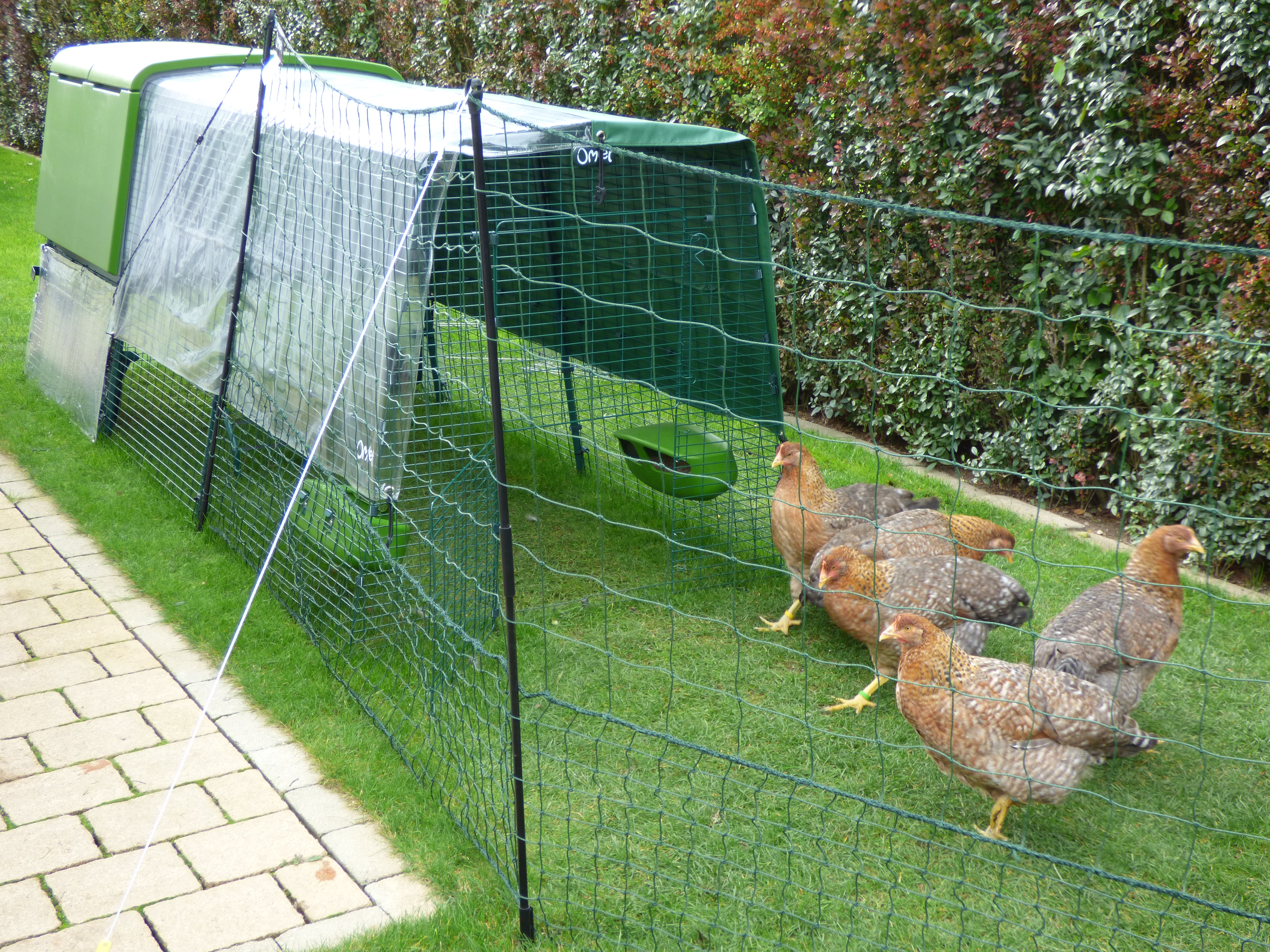 New Eglu Cube Chicken Coop Chicken Keeping Equipment Omlet