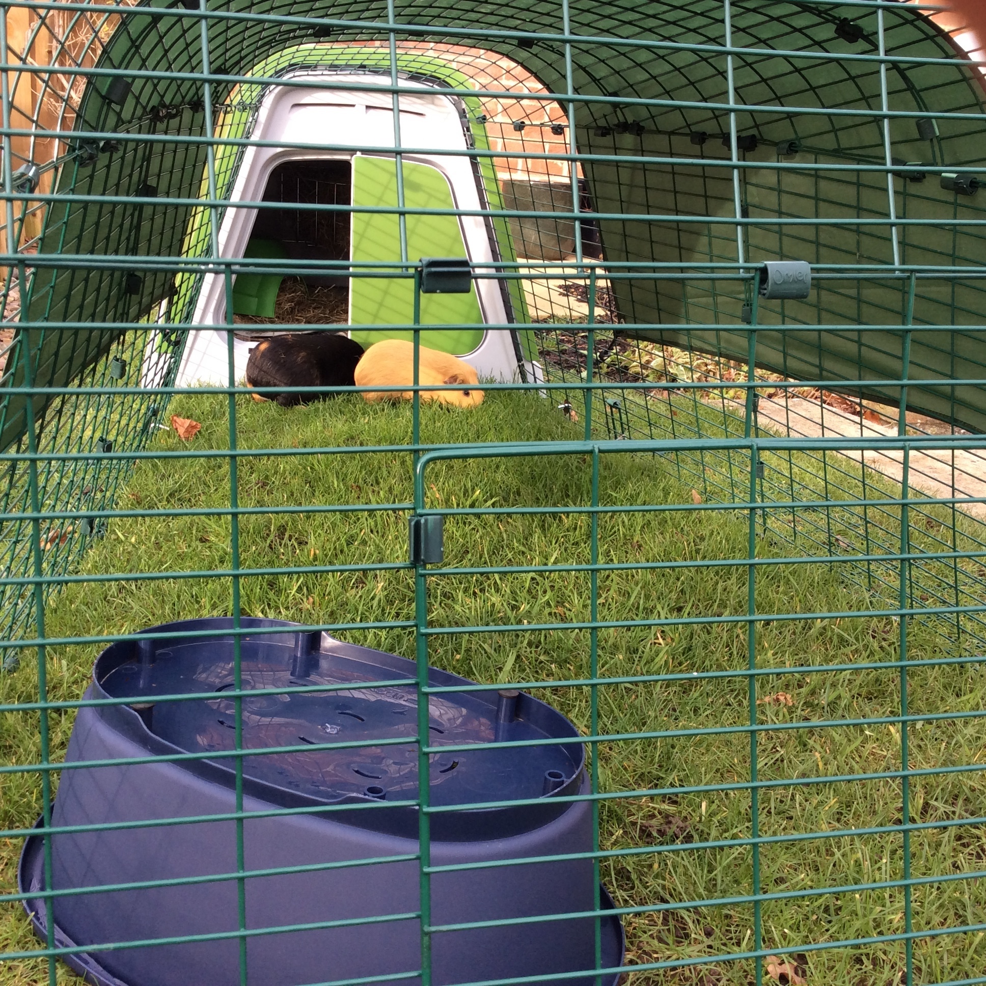 Eglu Go Guinea Pig Hutch Plastic House for Guinea Pigs