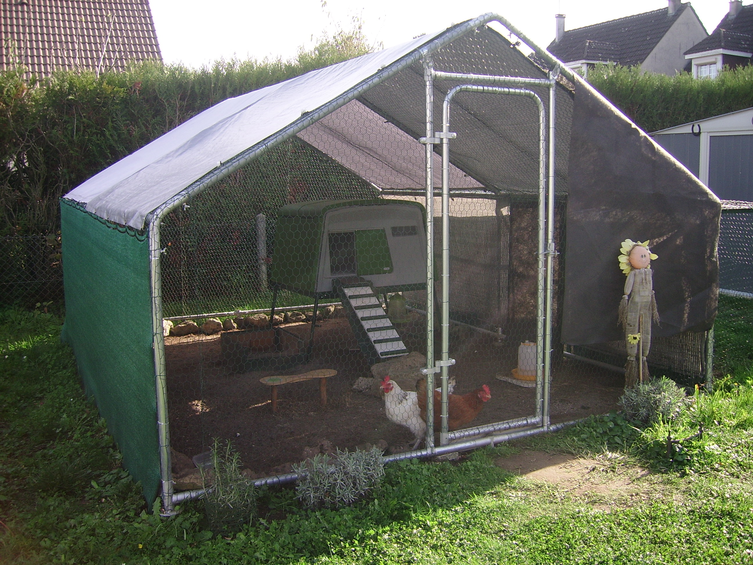 New Eglu Cube Chicken Coop Chicken Keeping Equipment Omlet