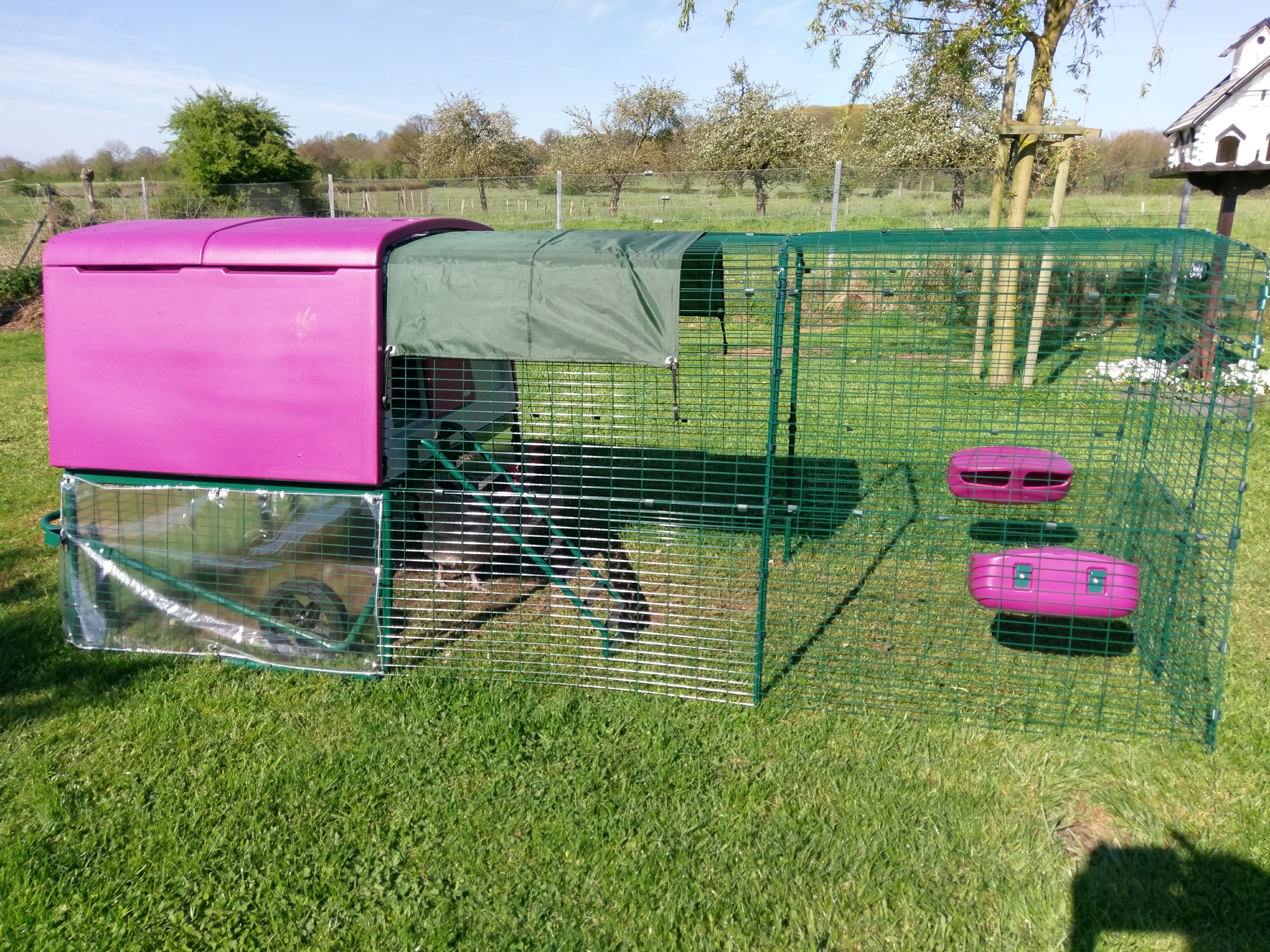 New Eglu Cube Chicken Coop Chicken Keeping Equipment Omlet