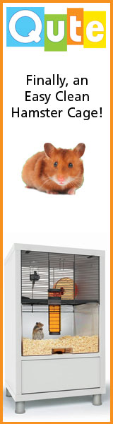 Gerbil Gender