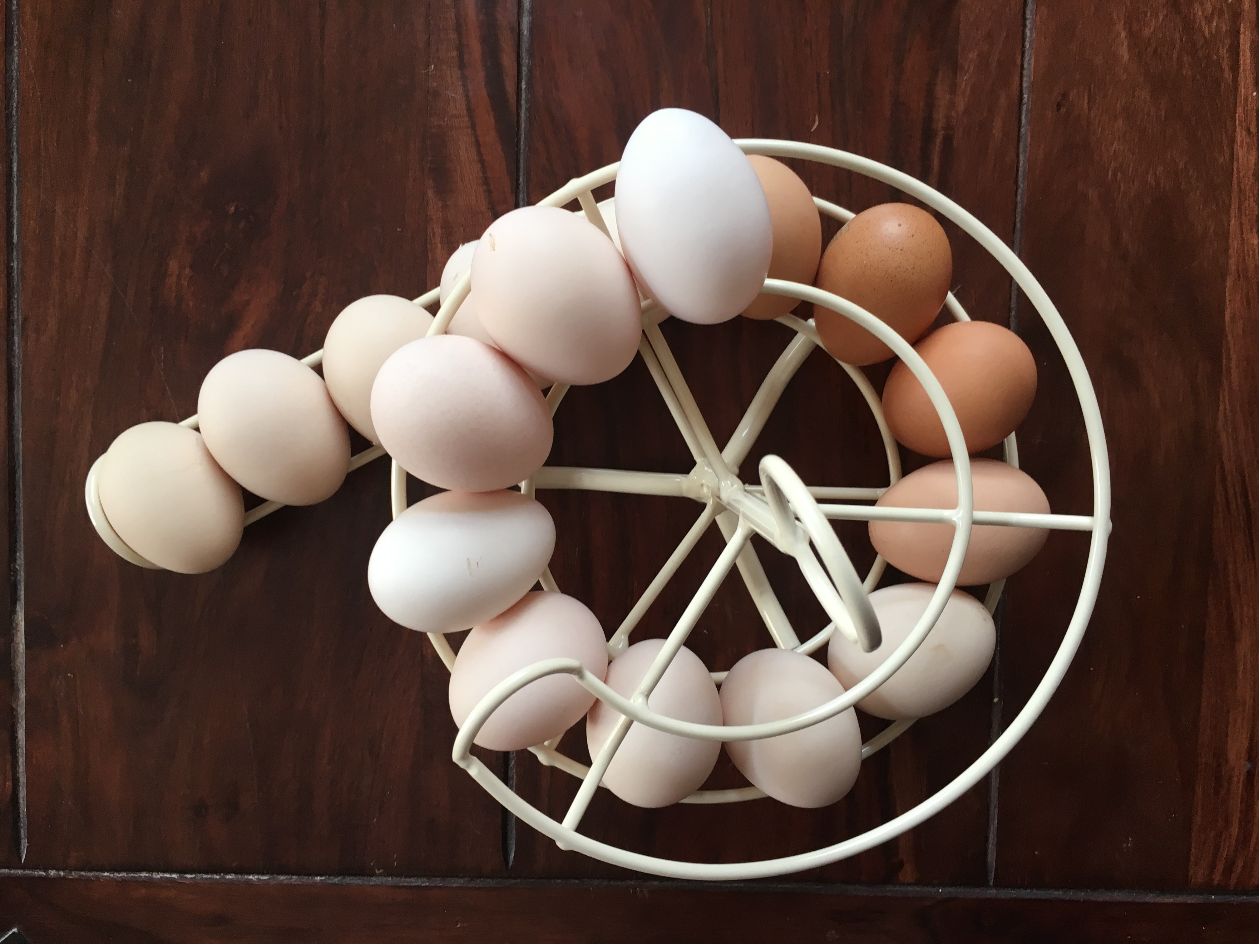Egg Skelter Spiral Egg Holder for Storing up to 24 Eggs