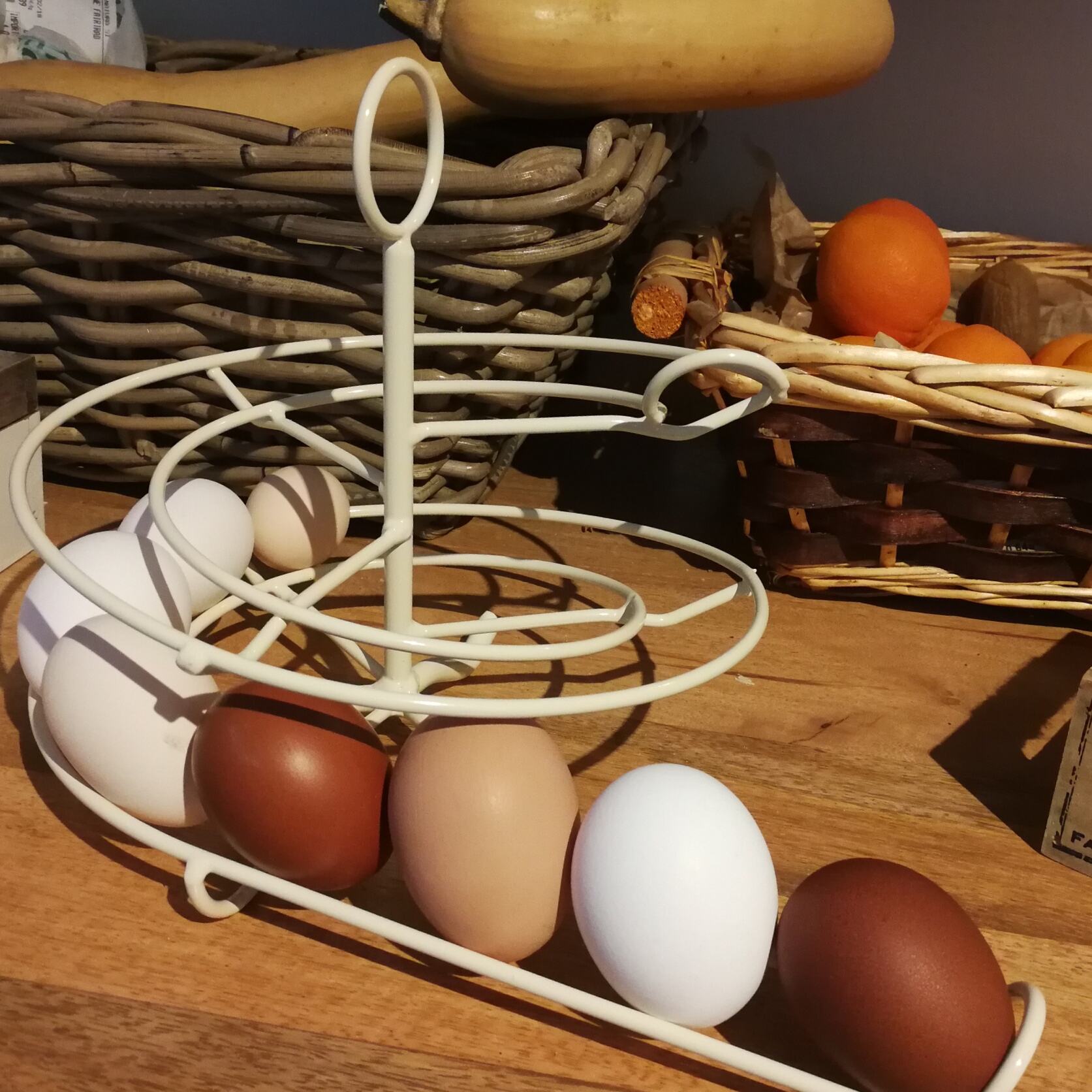 Egg Skelter Spiral Egg Holder for Storing up to 24 Eggs