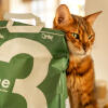 Cat rubbing themselves on Omlet 3 Pine Cat Litter Bag