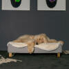 Dog Laying on Omlet Topology Dog Bed with Sheepskin Topper and Gold Rail Feet