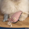 Close up of Omlet Cat Toy Jellyfish with white cat