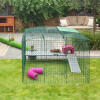 Guinea Pigs inside of Omlet Zippi Guinea Pig Playpen with Zippi Platforms, Purple Zippi Shelter, Zippi Play Tunnel and Zippi Tunnel Connected