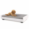 a small brown dog on a grey and white sofa bed