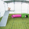 Inside Omlet Zippi Rabbit Playpen with Zippi Platforms, Green Zippi Shelter, Zippi Play Tunnel and Two Rabbits