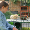 Girl with Two Guinea Pigs on Zippi Platforms inside of Omlet Zippi Guinea Pig Playpen