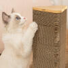 cat scratching a modern cardboard scratching post