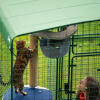 Cat scratching a post under a heavy duty cover in a walk in run