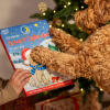 Christmas Advent Calendar for Dogs