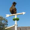 Chicken perching on the top of the weathervane chicken toy accessory for the Freestanding Universal Chicken Perch