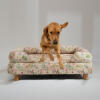 A Retriever jumping off of the Morning Meadow Bolster Dog Bed