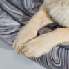 Paw detail on an Omlet Nest Bed in the Contour Grey pattern