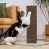 cat playing with a short cat scratching post