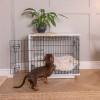 Dachshund Climbing into Omlet Fido Studio Dog Crate Furniture