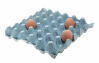 Blue Egg Trays with three eggs