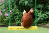 Chickens love sitting on the Chicken Swing