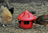 The chicken Grit Station Feeder has a lid to keep grit clean and dry