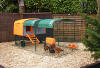 An Orange Eglu Cube  Chicken Coop with two chickens in them.