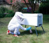 A white beehaus beehive with liquid smooker being used.