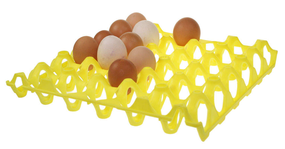Yellow Plastic Egg Tray Egg Trays, Boxes & Stamping Chicken Coops