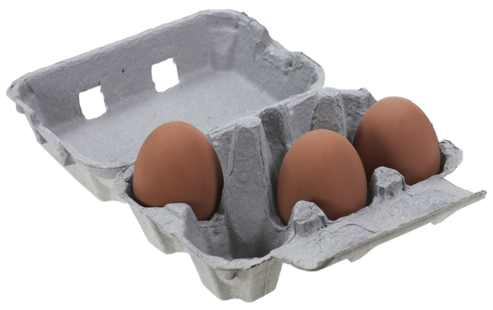 Egg Boxes Grey Pack of 20 Egg Trays, Boxes and Stamping Chicken