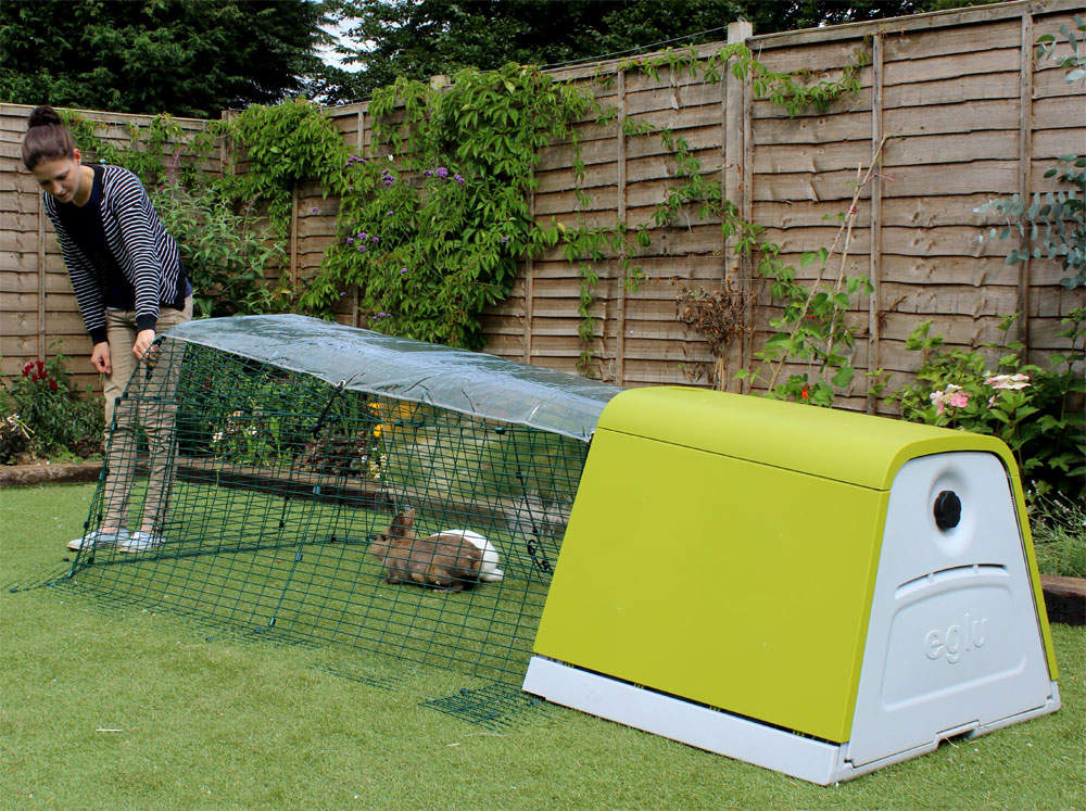 Clear Cover for Eglu Go Full Length Eglu Rabbit Weather Protection